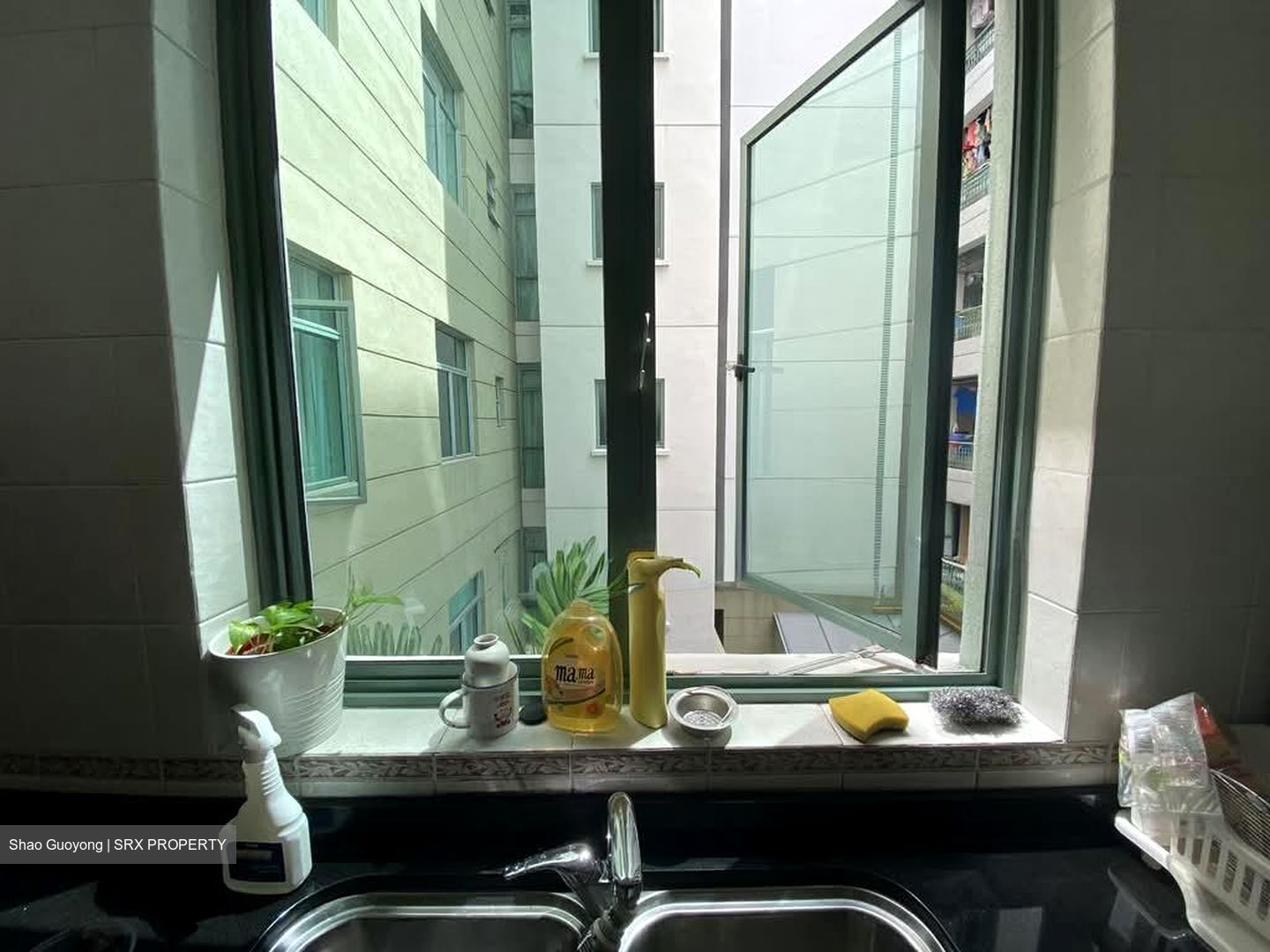 Merawoods (D23), Condominium #559956291